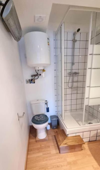 Studio En Rez De Jardin Avec Terrasse Privee - Le Petit Chateau Avesnois - Tv - Wifi - Logement Complet Avesnes-sur-Helpe Esterno foto