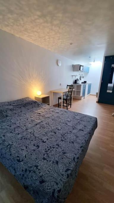 Studio En Rez De Jardin Avec Terrasse Privee - Le Petit Chateau Avesnois - Tv - Wifi - Logement Complet Avesnes-sur-Helpe Esterno foto